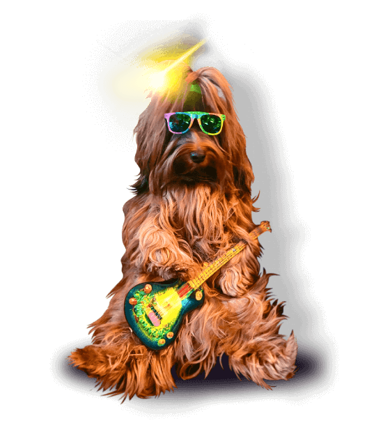 Dog Image